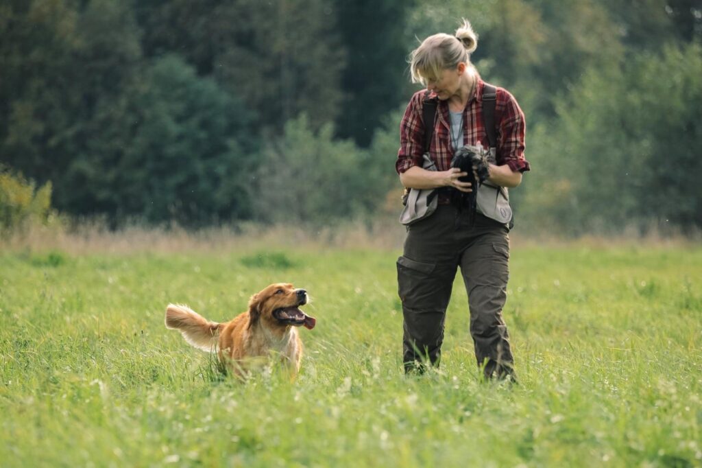 Puschkin´s Magic Marigold, "Leia" kom til Estland og bor sammen med Kadri og familien. Kennel Nordicskygundogs. Vi er meget taknemmelige . Leia har et aktivt og skønt Golden liv.