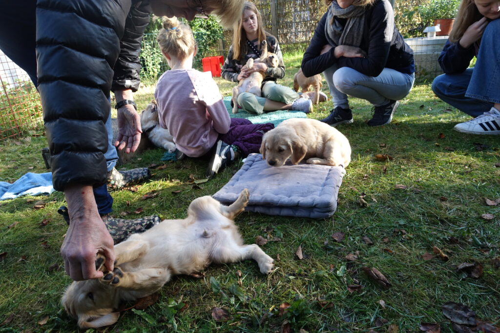 Vi får besøg, der er gang i den og bagefter er vi dejligt trætte ;-)